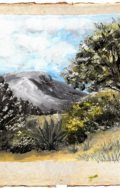 Mediterranean / Held Between Slopes by Gozde Temiz Istanbul