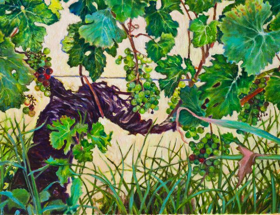 The Vine