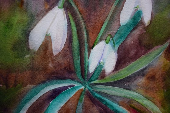 Snowdrops watercolor painting, flower wall art, floral gift for her