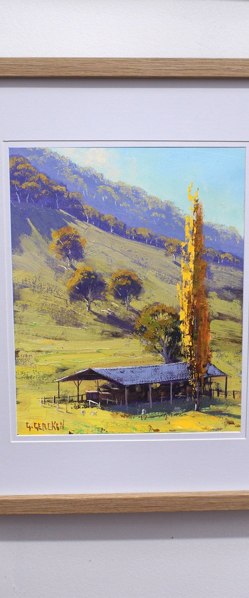 Autumn Poplar Tree Australia by Graham Gercken