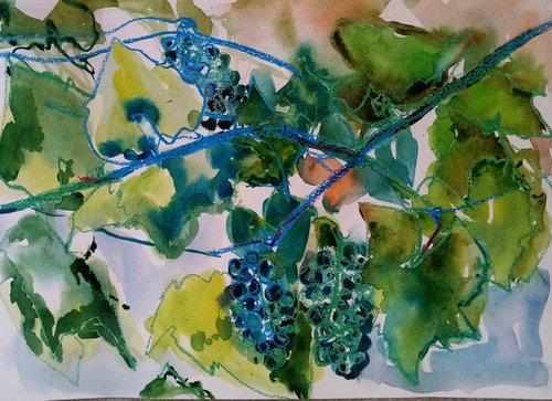 Shades of grapes 2 by Oxana Raduga