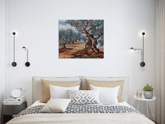 Olive Grove