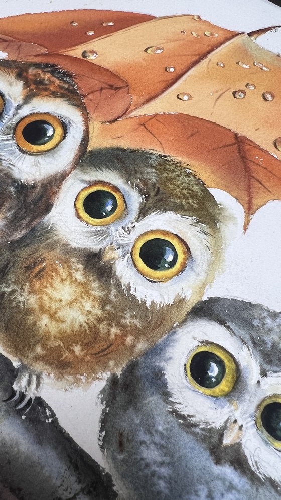Owl Umbrella Haven