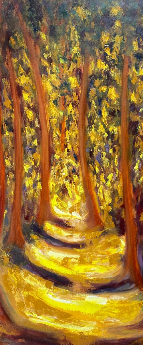 Afternoon Light In The Forest by Deepa Kern