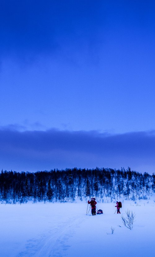 Skiing In The Blue Hour II by Tom Hanslien