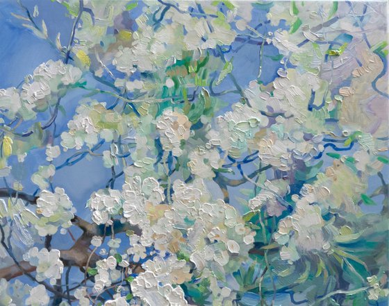 White Miracle of Spring