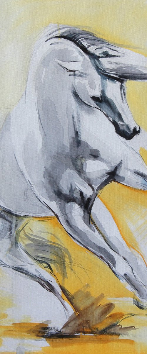 yellow horse by Marie Madej