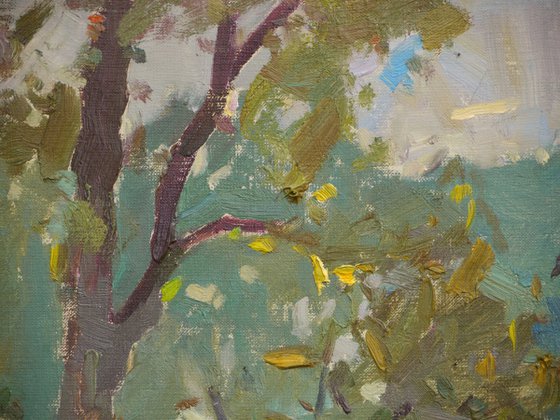 Autumn. Trees on the lawn