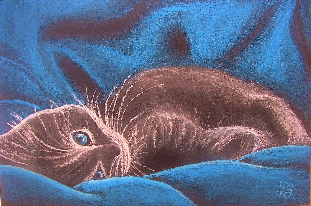 Little Blue-Eyes by Linda Burnett