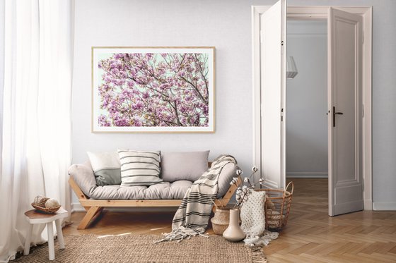 Blossom IV