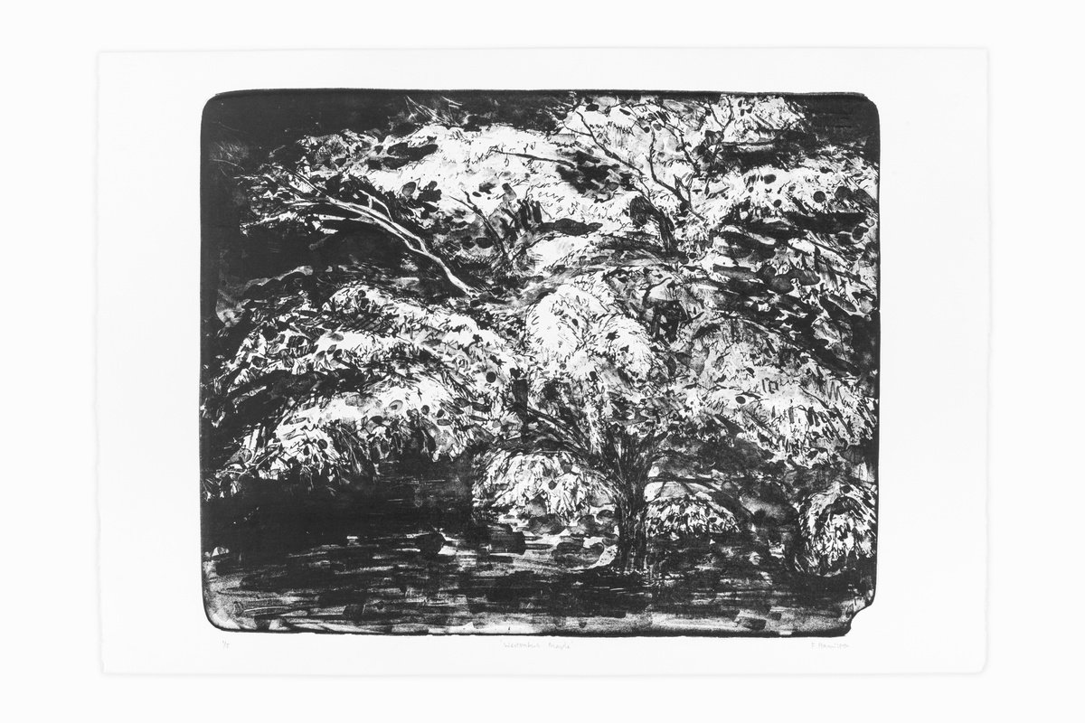 Impressionistic Landscape Limited Edition Print By Fiona Hamilton, 28 X 20, Westonbirt Maple, Original Artwork