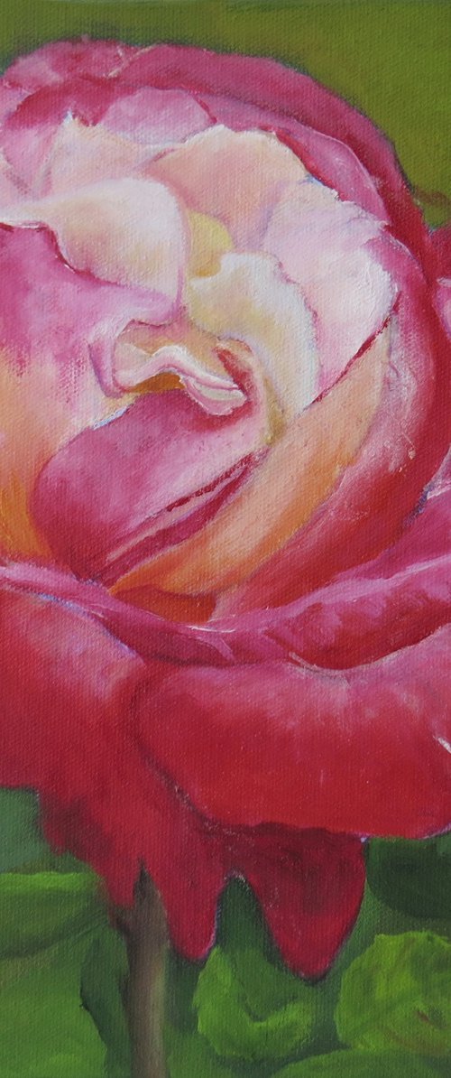 A Rose for my Love by Maureen Greenwood