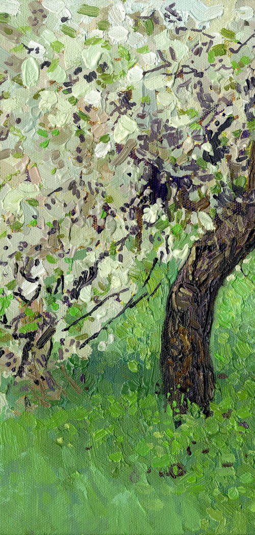 The cherry tree is in bloom by Simon Kozhin