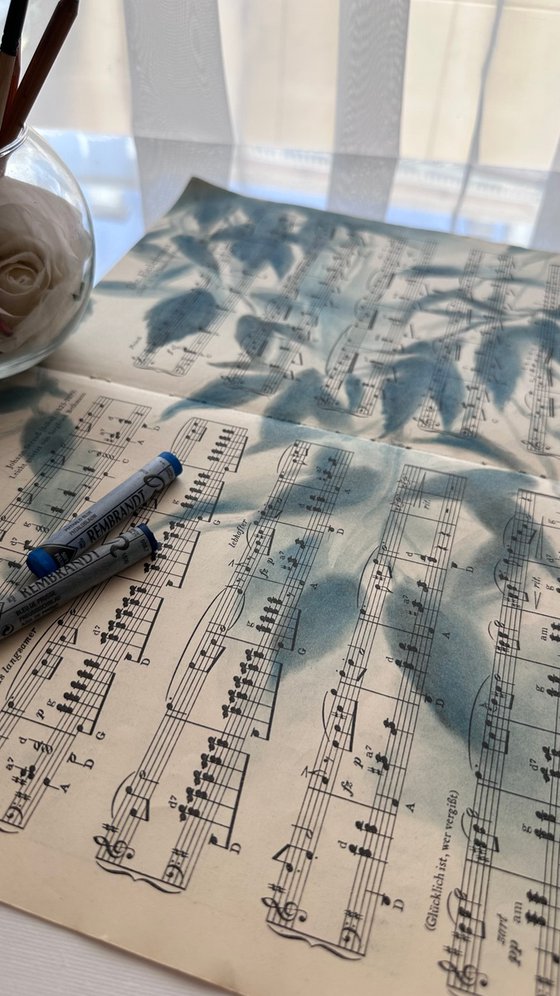 Shadows on Sheet Music - Soft Blue Leaves