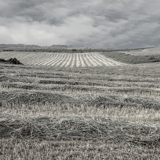 Countryside