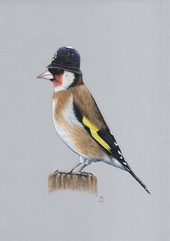 Original pastel drawing bird "European goldfinch"