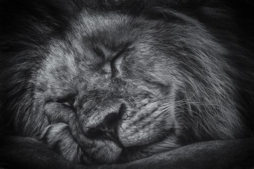 Sleepy Time by Paul Nash