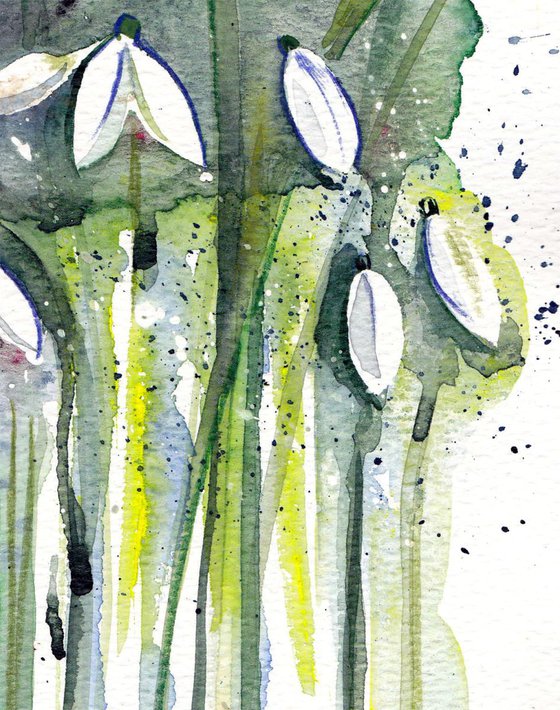 Snowdrops sketch