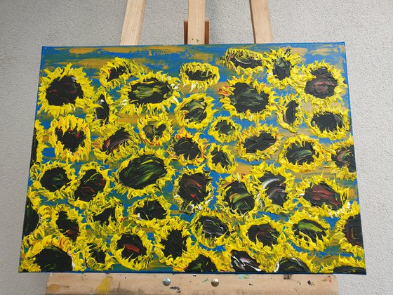 Blooming sunflowers 7