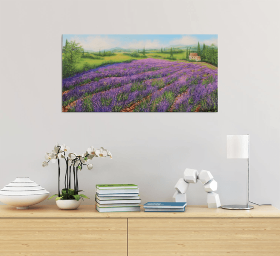 Lavender field