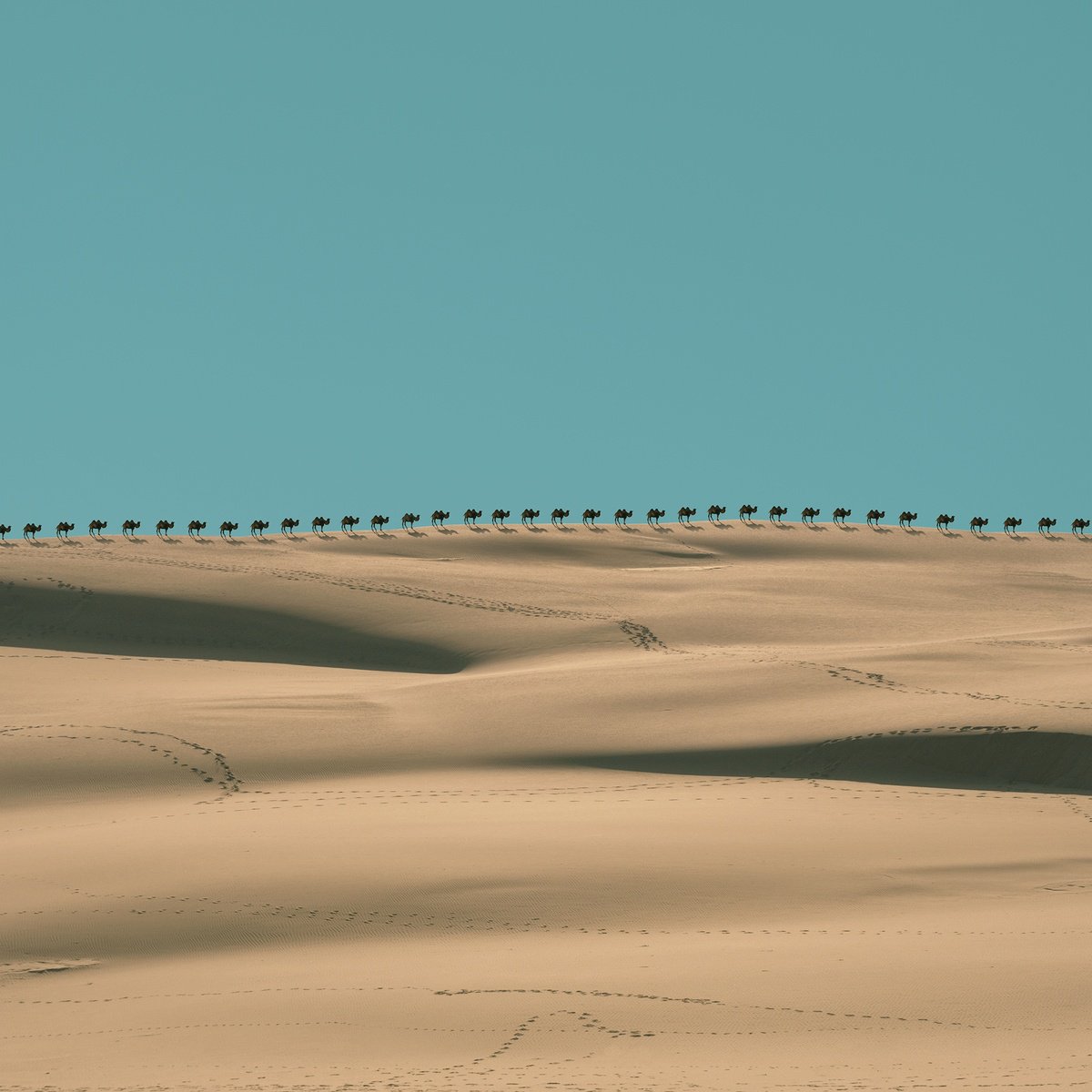 Photorealistic Landscape Photograph By Jacek Falmur, 20 X 20, Fata Morgana, Original Artwork