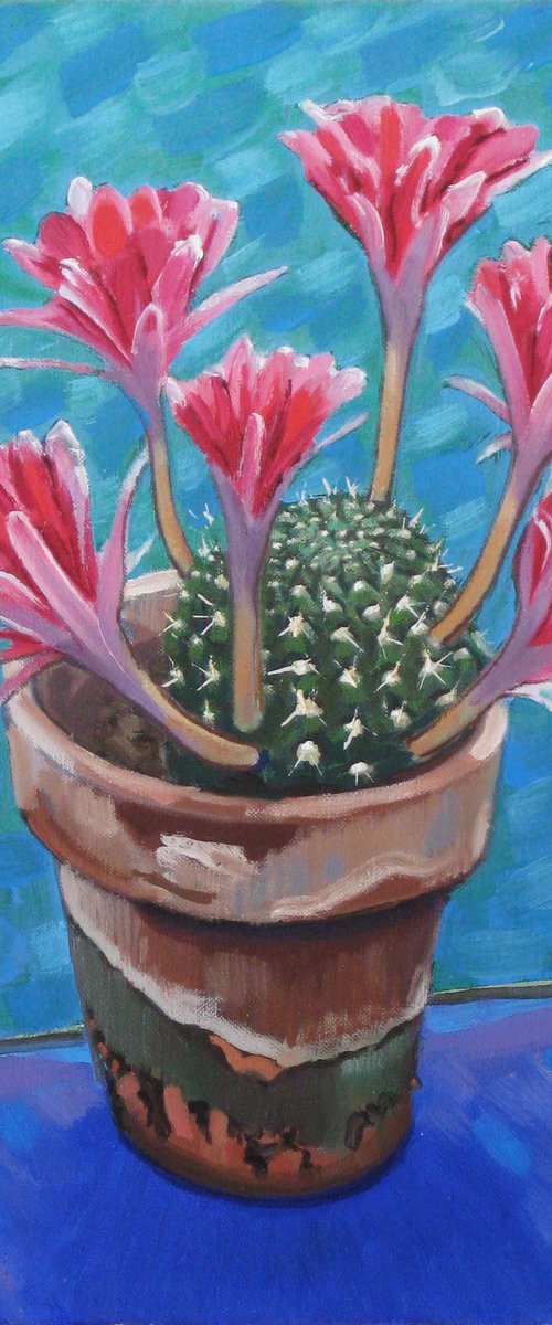 Cactus in Flower by Richard Gibson