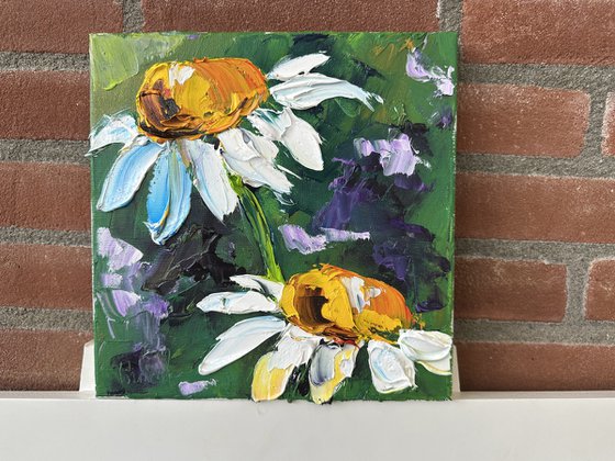 Two daisies