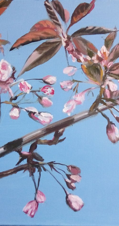 Blooming sakura, oil painting, original oil cherry blossom painting by Anna Brazhnikova