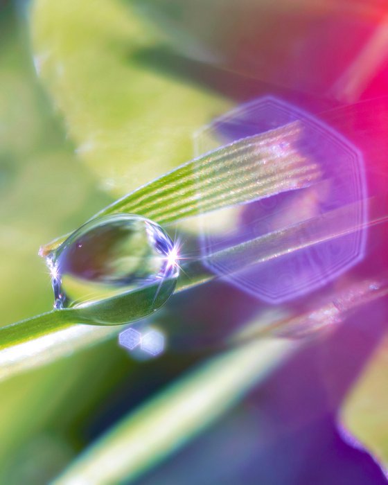 Projection - Studio Edition