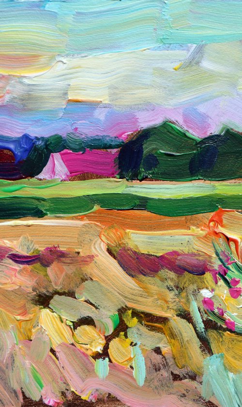 Summer evening, countryside. (Plein air). by Dima Braga