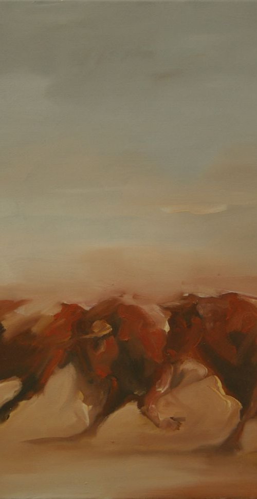 Toros de Lidia by Zil Hoque