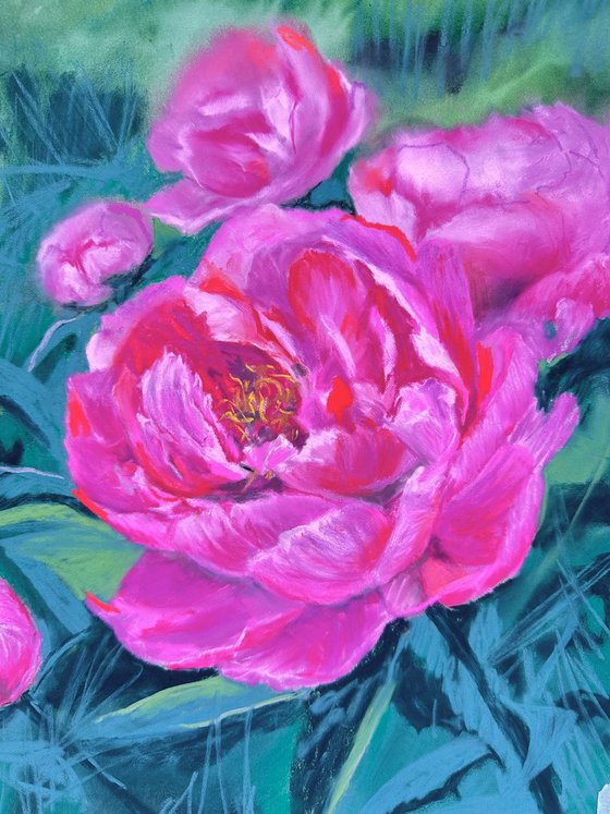 Peonies at Sunset