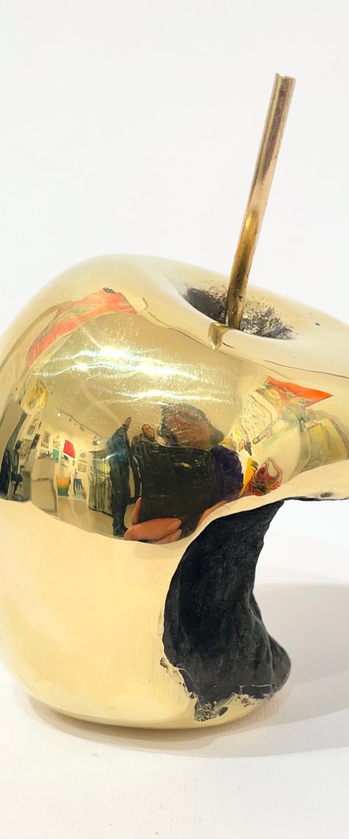 Macintosh Apple, no.14/25 by Jaromir Gargulak