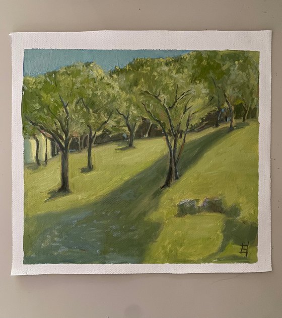 The Distance Between Trees