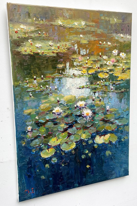 "Water lilies "