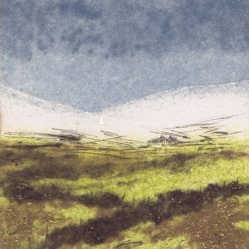 Wicklow Bogscape by Aidan Flanagan Irish Landscapes