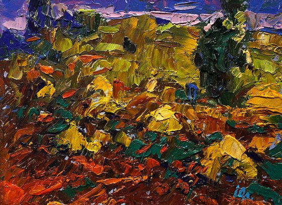 The edge of a plowed field