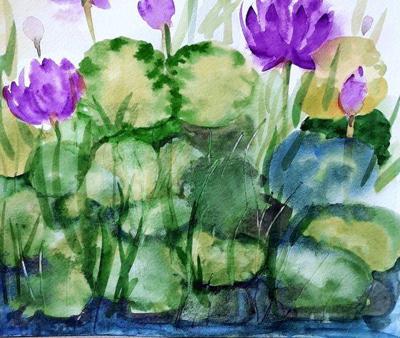 Crimson water lily pond set