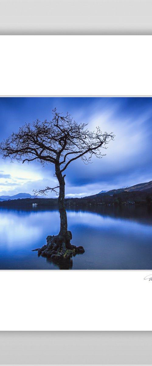 Day is Blue by Lynne Douglas
