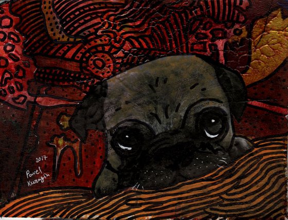 Sweet pug