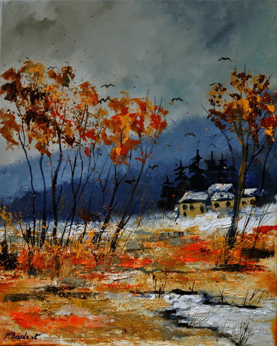 Some orange trees in winter