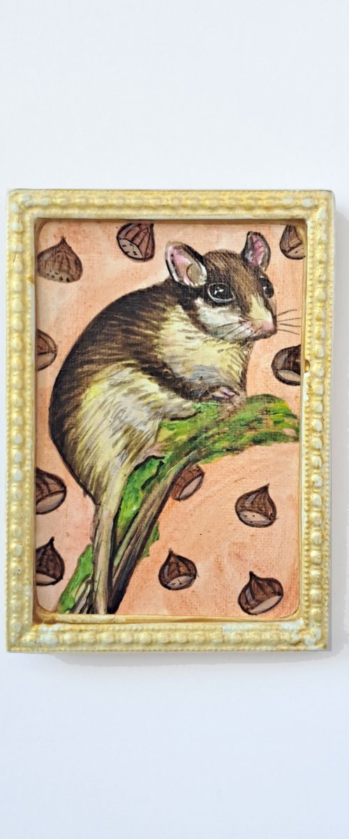 Garden dormouse, part of framed animal miniature series "festum animalium" by Andromachi Giannopoulou