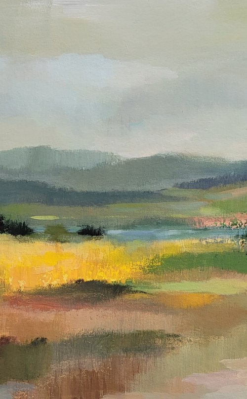 Sunflower Field by Silvia  Vassileva