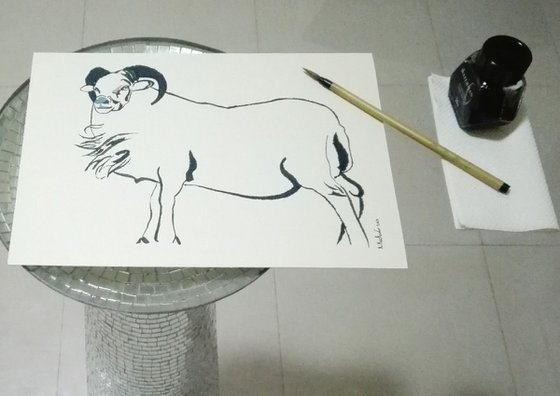 Ram I Animal Drawing