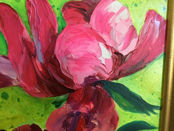 "Beauty of Livermere" Red Poppies
