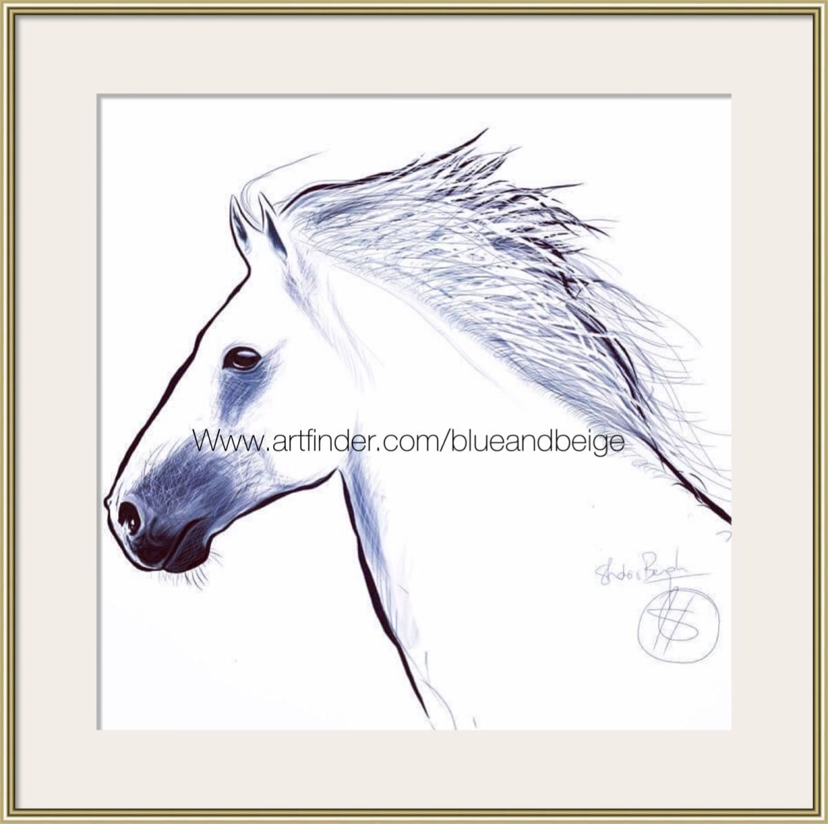 Organic Print , White Horse By Shabs Beigh, 20 X 20, Artwork For Sale On Artfinder