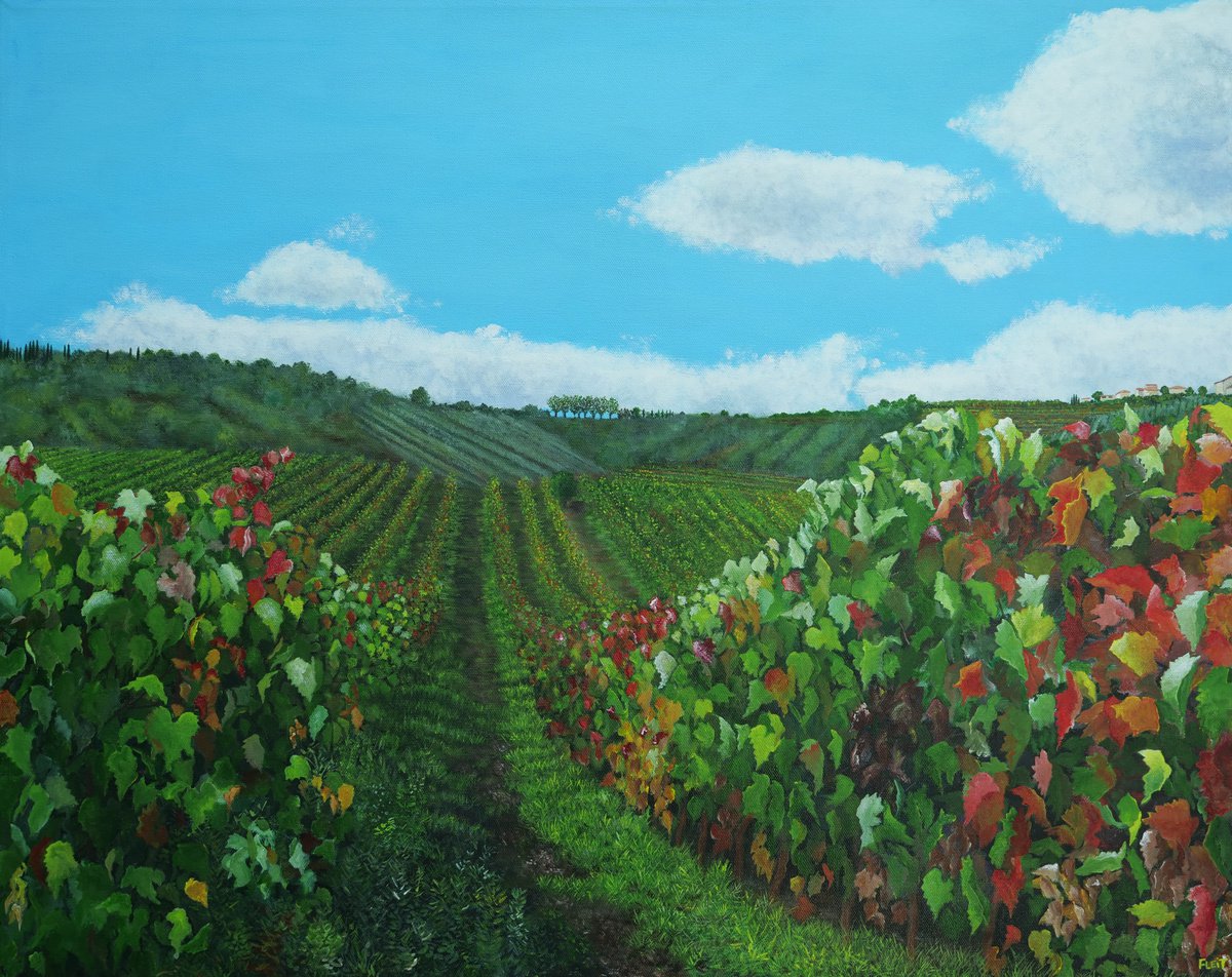 Vineyard In Tuscany By Steven Fleit, 30 X 24, Artwork For Sale On Artfinder