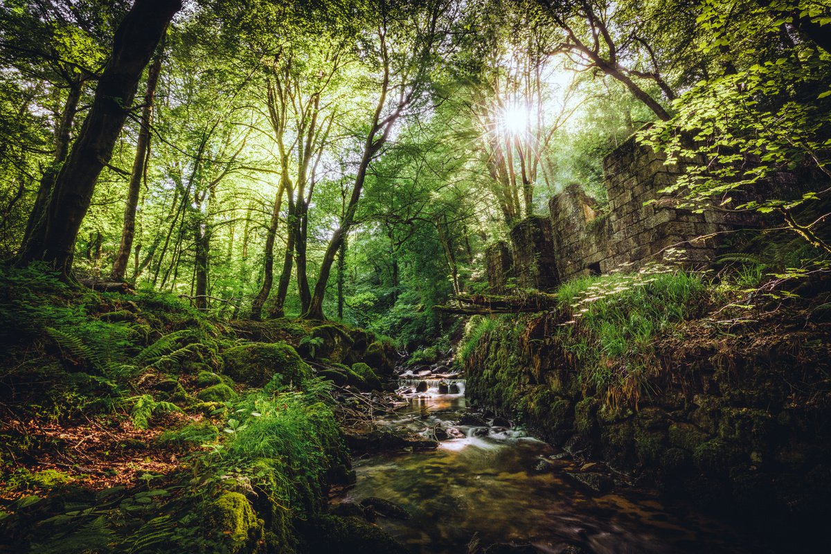Photorealistic Photograph , Kennall Vale By Paul Nash, 24 X 16, Artwork For Sale On Artfinder