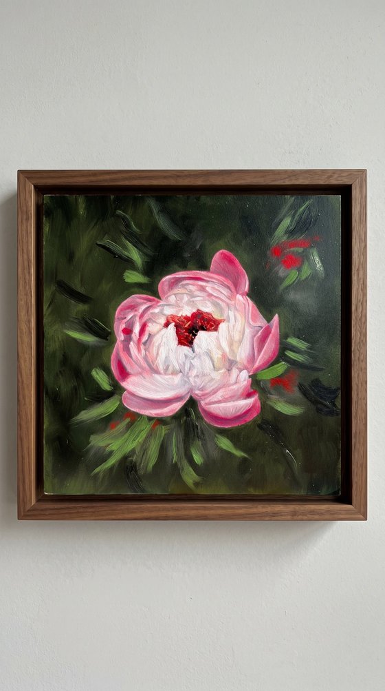 Pink Peony - Hyperrealist Floral Oil Painting