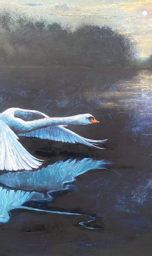 The Swan and the Flower Moon by Simon Jones